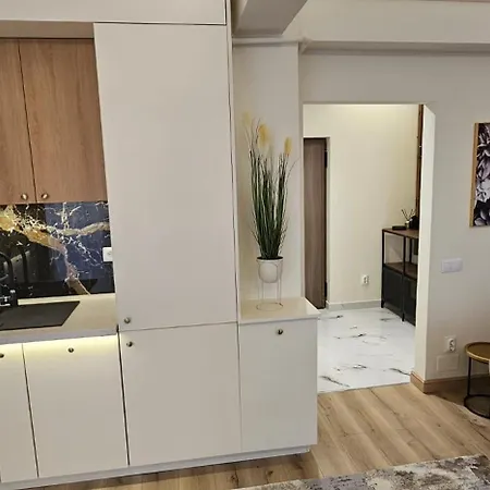 Apartament Pe Strada Lebedei Apartman Brassó