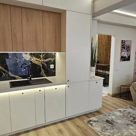 Apartament Pe Strada Lebedei Apartman *